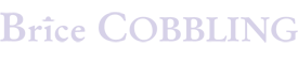 Brice Cobbling